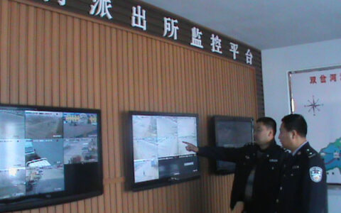 黑龙江绥棱县双岔河镇：240只“天眼”守护乡村平安