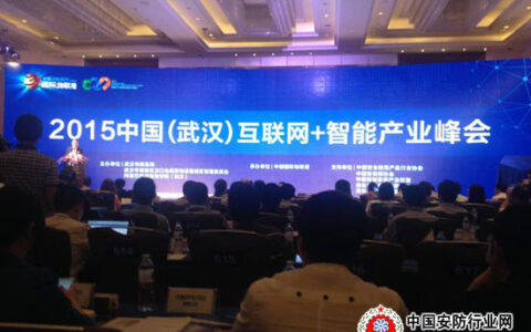 首届“中国(武汉)互联网+智能产业峰会”举行