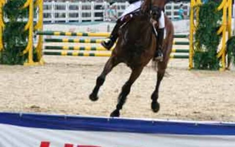 H3C:助力“好运北京”香港国际马术赛事