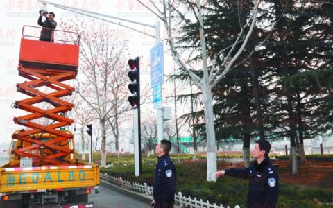 青岛胶州推进视频监控“村村通”建设 加重平安砝码
