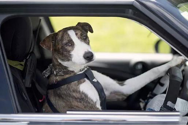 第二届世界互联网大会中的那些智能硬件