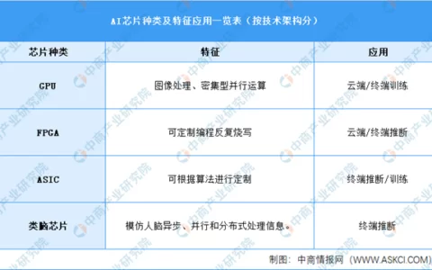 2022年中国AI芯片行业市场前景及投资研究报告