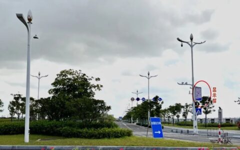 总投资1.1亿！东莞滨海湾新区将再建一批智慧灯杆！