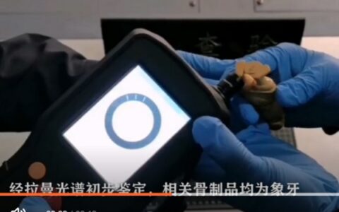 同方威视快速鉴定技术助力海关“守国门”