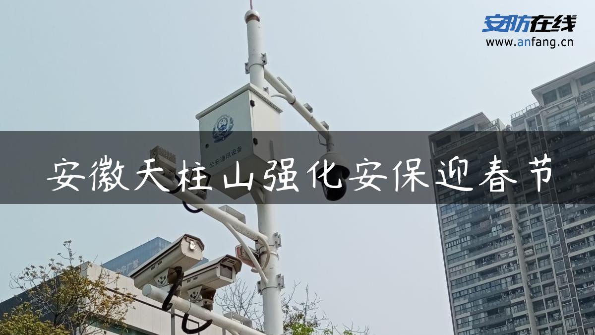 安徽天柱山强化安保迎春节