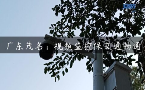 广东茂名：视频监控保交通畅通