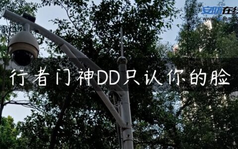 行者门神DD只认你的脸
