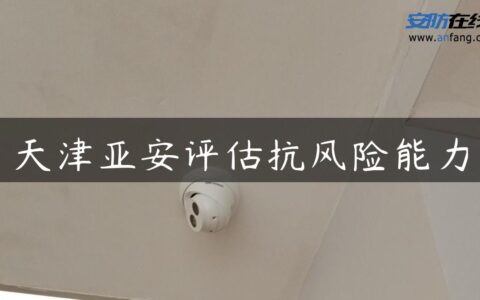 天津亚安评估抗风险能力