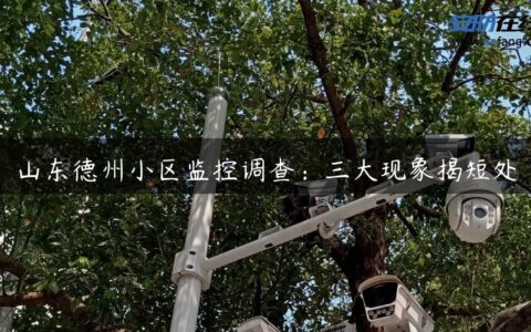 山东德州小区监控调查：三大现象揭短处