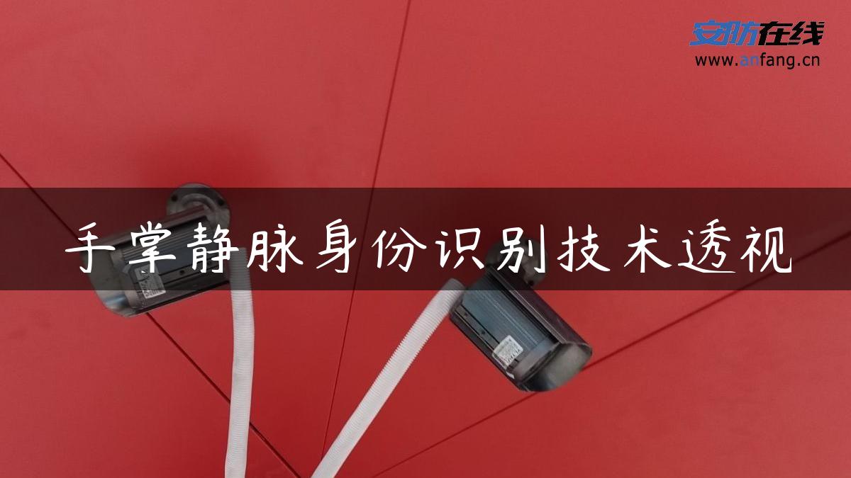 手掌静脉身份识别技术透视