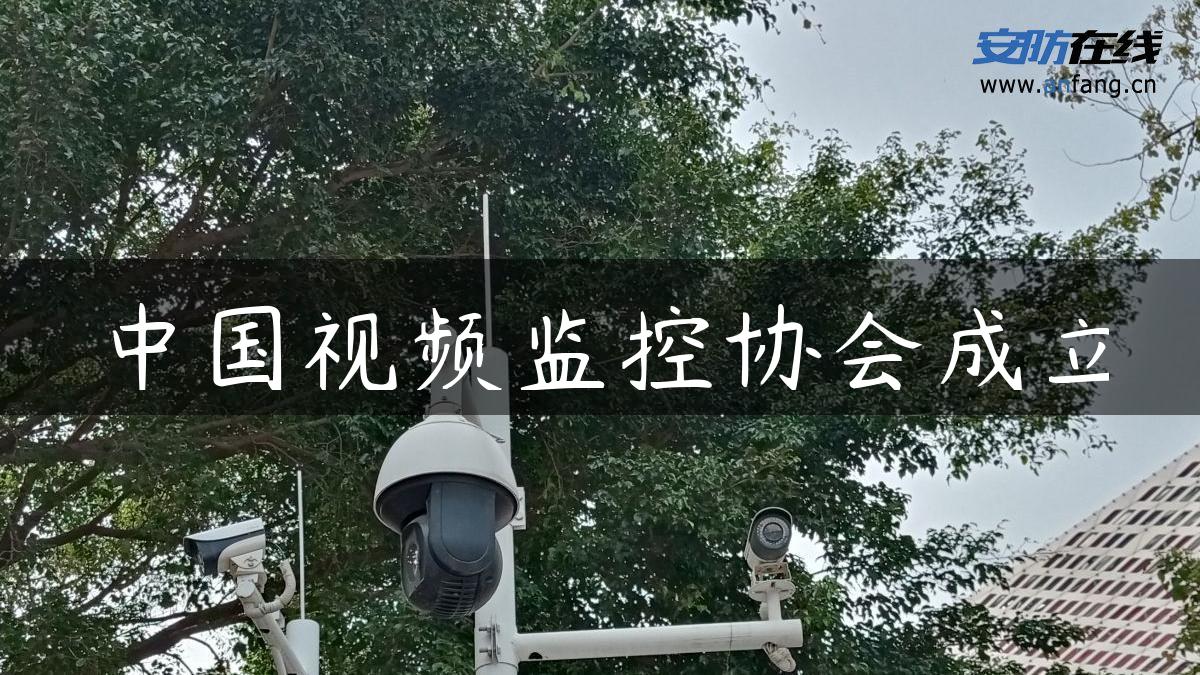 中国视频监控协会成立