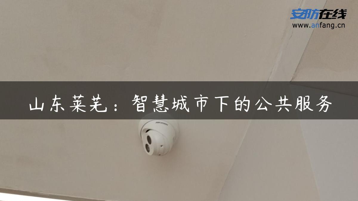 山东莱芜：智慧城市下的公共服务
