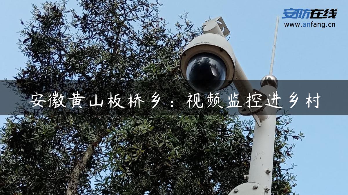 安徽黄山板桥乡：视频监控进乡村