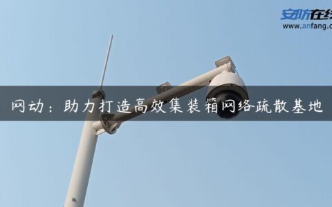 网动：助力打造高效集装箱网络疏散基地