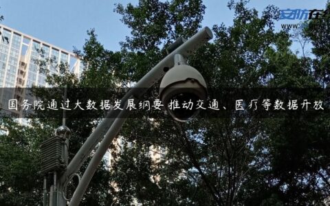 国务院通过大数据发展纲要 推动交通、医疗等数据开放