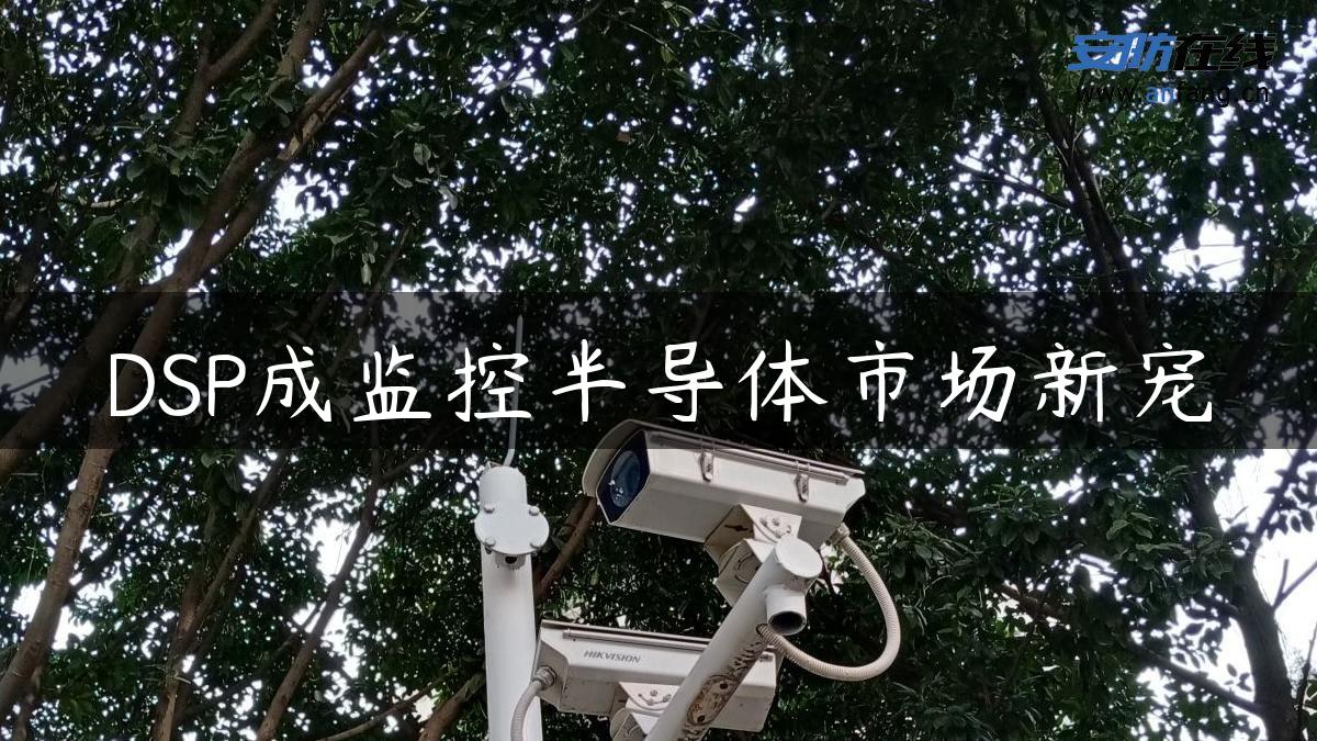 DSP成监控半导体市场新宠