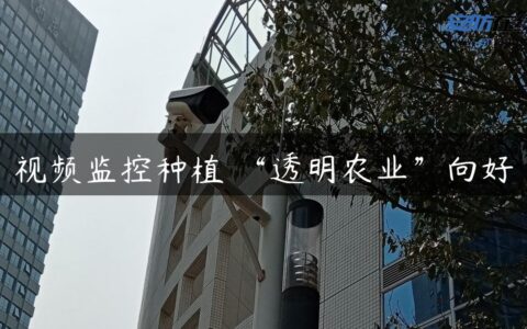 视频监控种植 “透明农业”向好