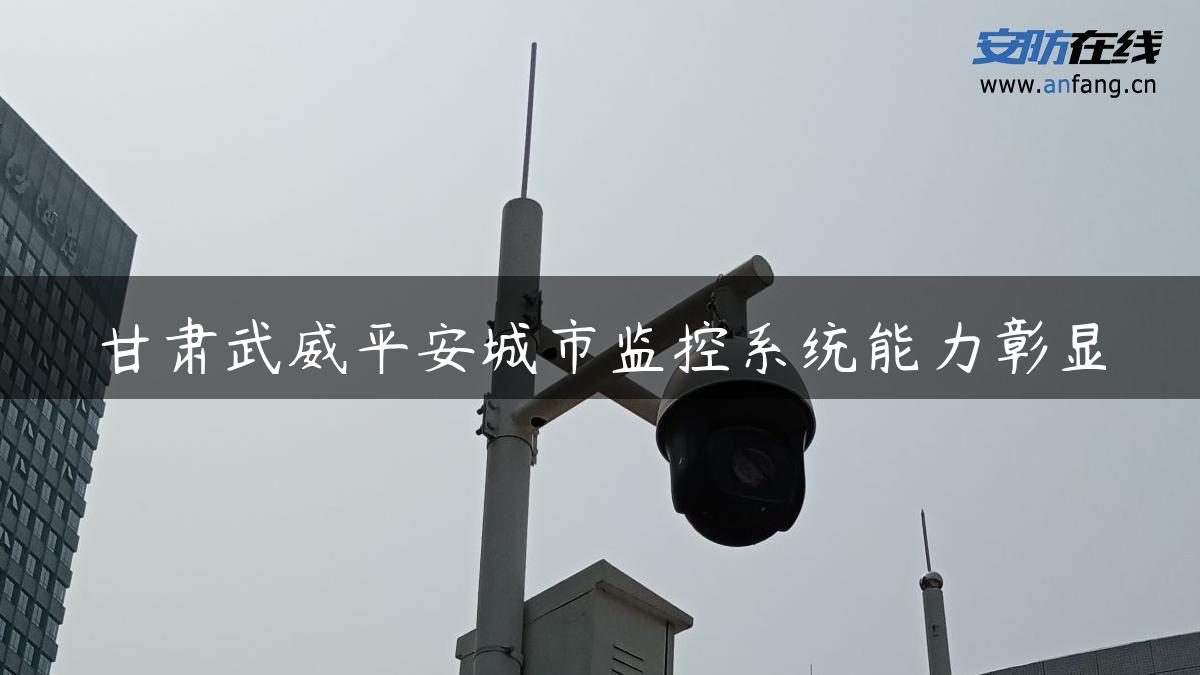 甘肃武威平安城市监控系统能力彰显