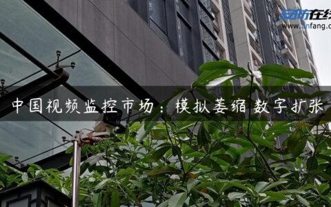 中国视频监控市场：模拟萎缩 数字扩张