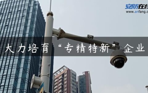 大力培育“专精特新”企业