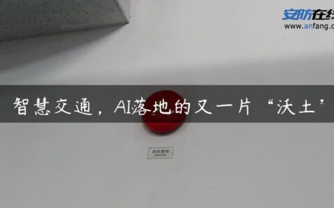 智慧交通，AI落地的又一片“沃土”