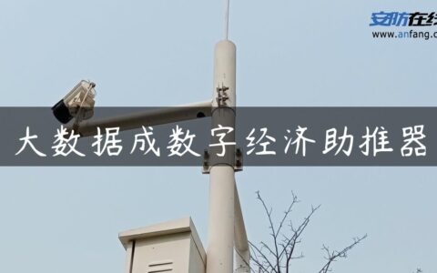 大数据成数字经济助推器