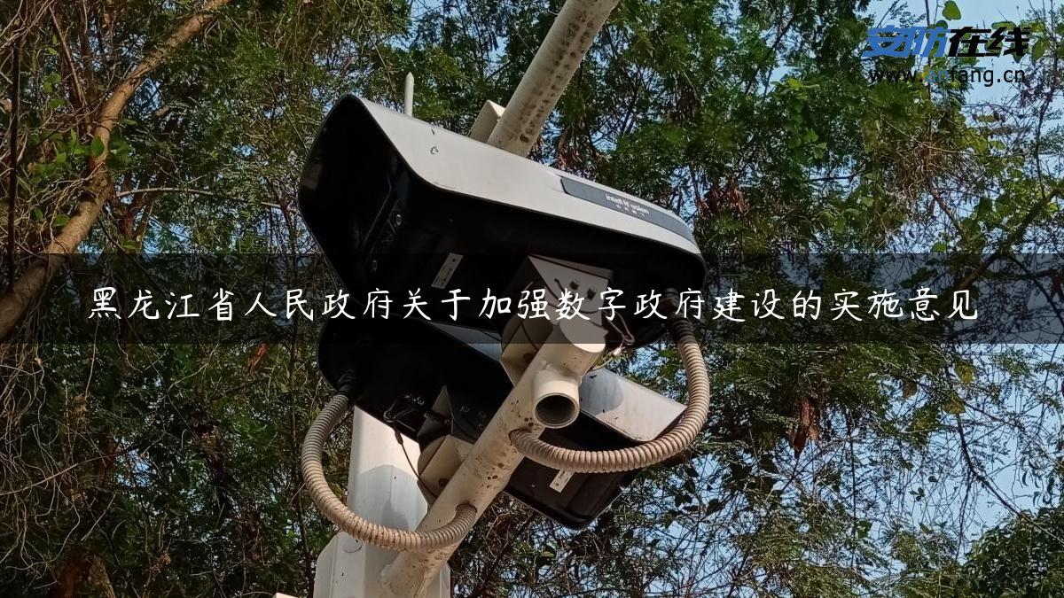黑龙江省人民政府关于加强数字政府建设的实施意见