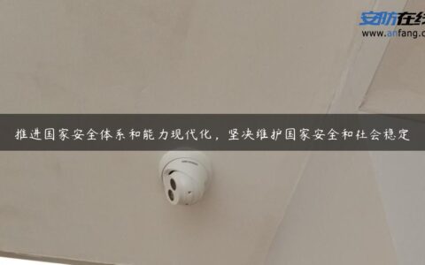 推进国家安全体系和能力现代化，坚决维护国家安全和社会稳定