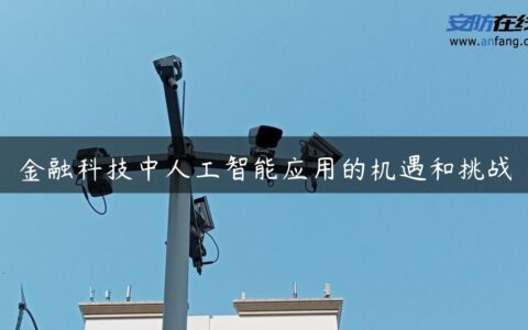 金融科技中人工智能应用的机遇和挑战