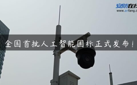全国首批人工智能国标正式发布！