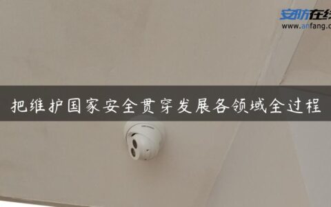 把维护国家安全贯穿发展各领域全过程