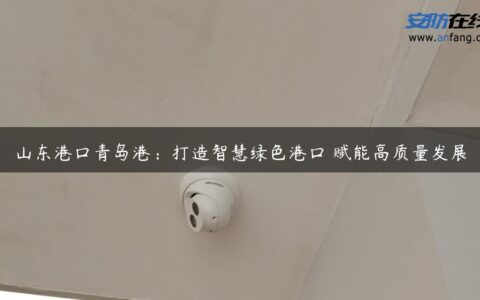 山东港口青岛港：打造智慧绿色港口 赋能高质量发展