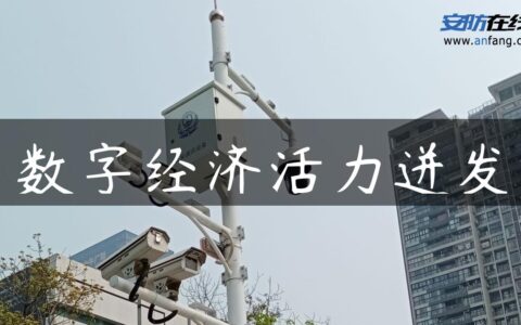数字经济活力迸发