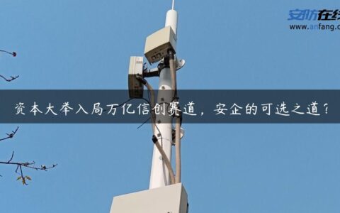 资本大举入局万亿信创赛道，安企的可选之道？