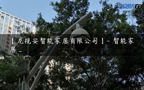 【龙视安智能家居有限公司】- 智能家居_