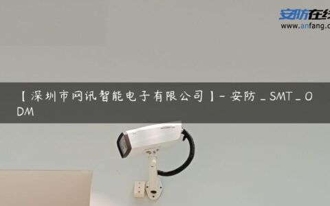 【深圳市网讯智能电子有限公司】- 安防_SMT_ODM