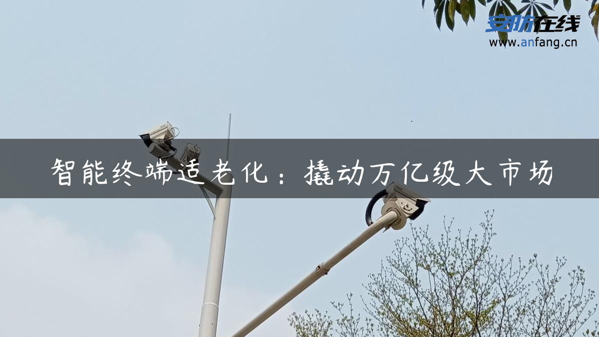 智能终端适老化：撬动万亿级大市场