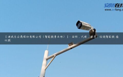 【迪威乐云商股份有限公司（智能锁事业部）】- 安防_代理_渠道_经销智能锁 指纹锁