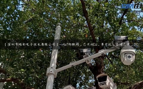 【深圳市瑞彩电子技术有限公司】- AIoT物联网_芯片MCU_单片机_存储芯片_DC