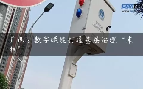 广西：数字赋能打通基层治理“末梢”