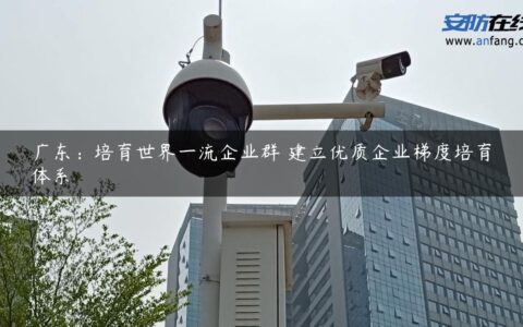 广东：培育世界一流企业群 建立优质企业梯度培育体系