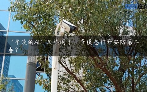 “平淡的AI”又热闹了，多模态打开安防第二春？