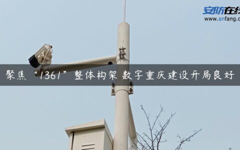 聚焦“1361”整体构架 数字重庆建设开局良好