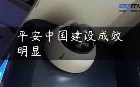 平安中国建设成效明显