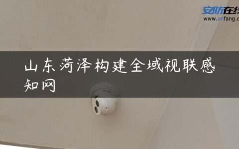 山东菏泽构建全域视联感知网