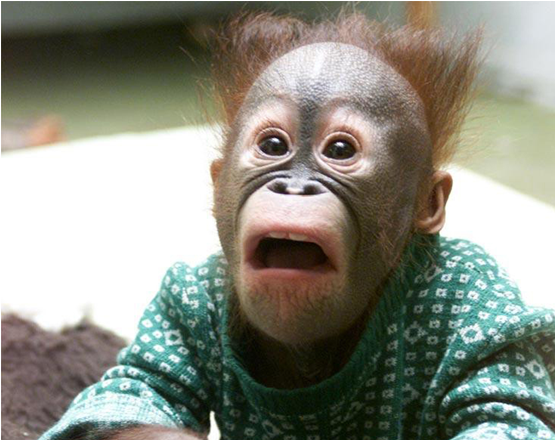 What’s one room one cable?