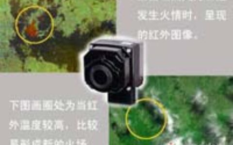 红外成像技术在森林防火案例应用分析