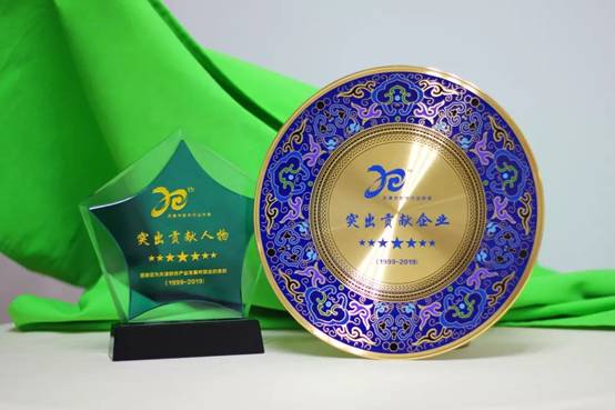 天地伟业出席天津软件产业发展高峰论坛荣膺“二十年突出贡献”榜单