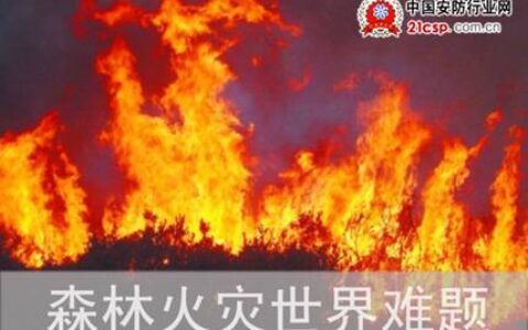 “星星之火”又燎原 森林防火怎能只靠监控？