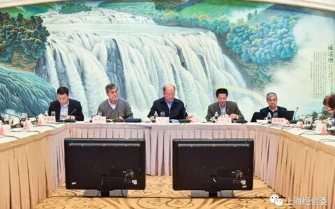 上海召开人工智能战略咨询专家会议：进一步发挥头雁效应
